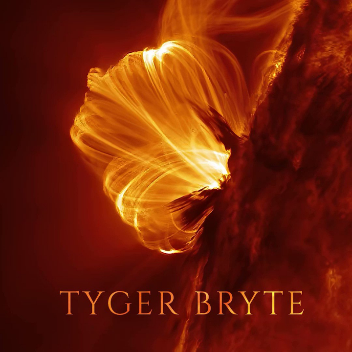 Tyger Bryte - 2 Days of Ångström-171 Sun | 8K